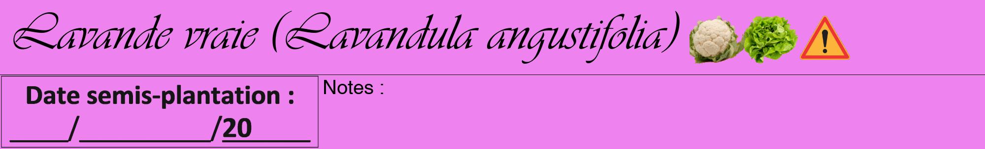 Étiquette de : Lavandula angustifolia - format a - style noire53viv avec comestibilité simplifiée
