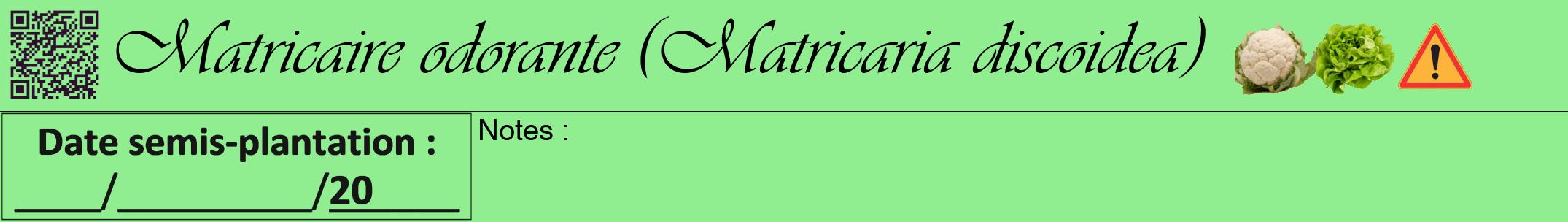 Étiquette de : Matricaria discoidea - format a - style noire15viv avec qrcode et comestibilité simplifiée