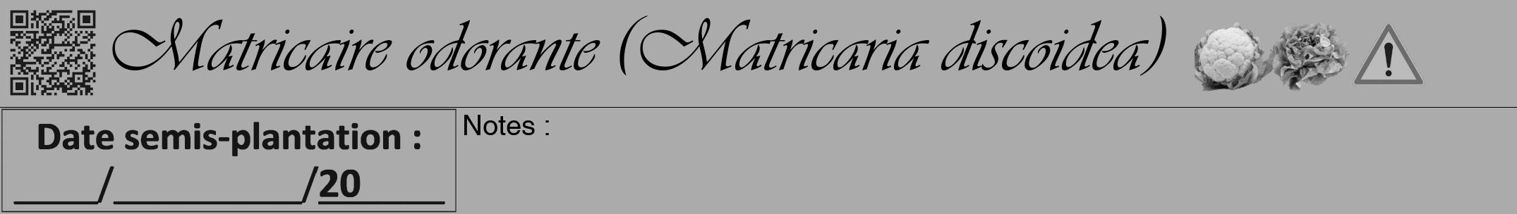 Étiquette de : Matricaria discoidea - format a - style noire37viv avec qrcode et comestibilité simplifiée