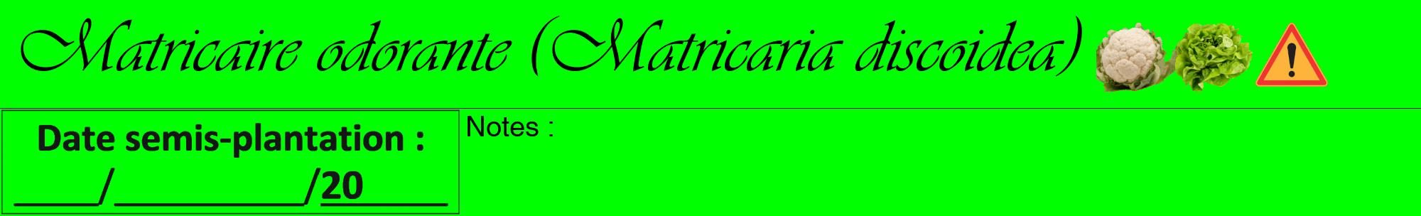 Étiquette de : Matricaria discoidea - format a - style noire16viv avec comestibilité simplifiée