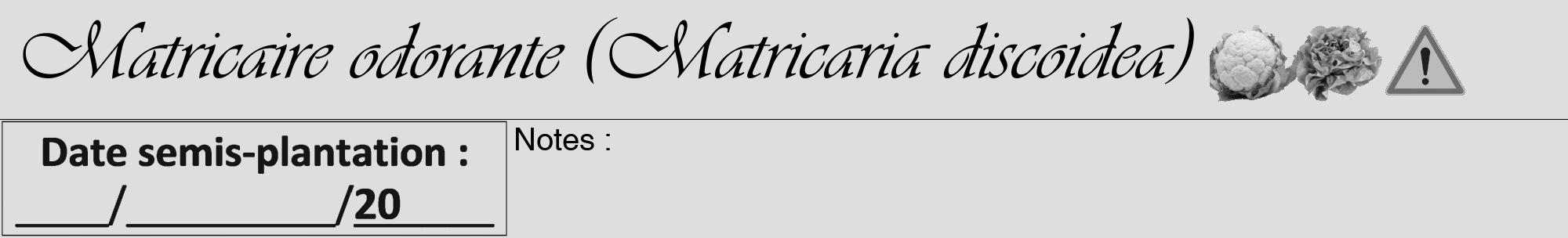 Étiquette de : Matricaria discoidea - format a - style noire20viv avec comestibilité simplifiée