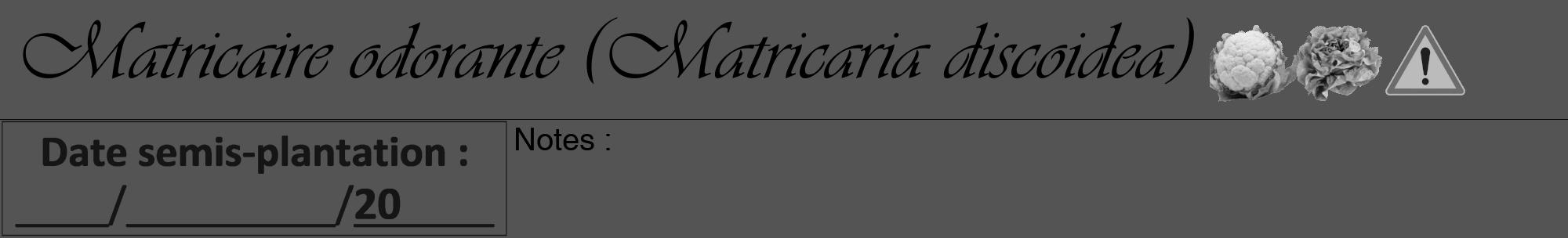 Étiquette de : Matricaria discoidea - format a - style noire30viv avec comestibilité simplifiée
