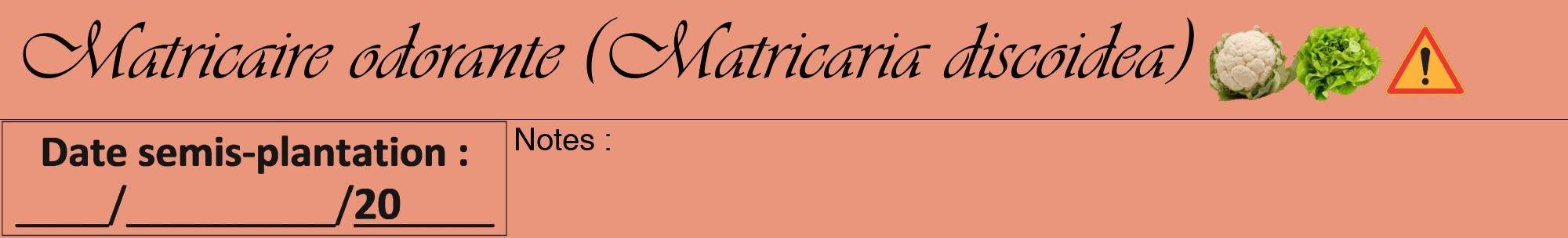 Étiquette de : Matricaria discoidea - format a - style noire37viv avec comestibilité simplifiée