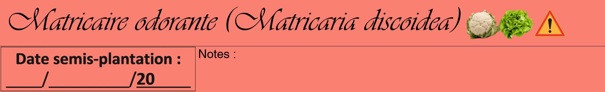 Étiquette de : Matricaria discoidea - format a - style noire38viv avec comestibilité simplifiée