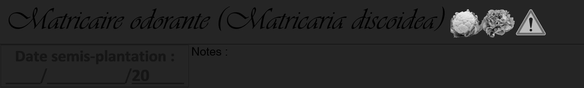 Étiquette de : Matricaria discoidea - format a - style noire47viv avec comestibilité simplifiée