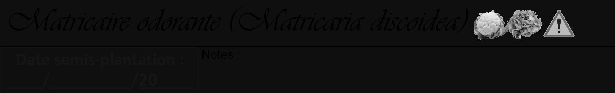 Étiquette de : Matricaria discoidea - format a - style noire7viv avec comestibilité simplifiée