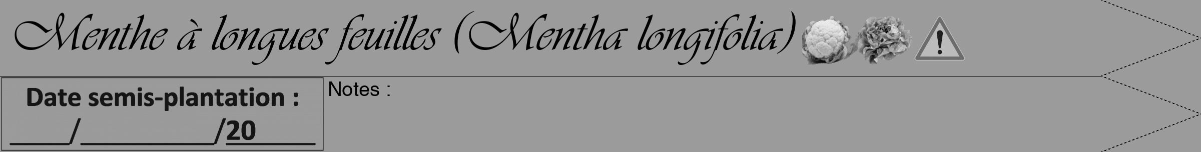Étiquette de : Mentha longifolia - format a - style noire52simpleviv avec comestibilité simplifiée