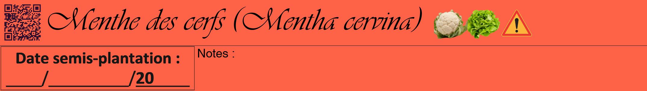 Étiquette de : Mentha cervina - format a - style noire25viv avec qrcode et comestibilité simplifiée