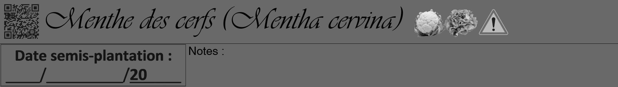Étiquette de : Mentha cervina - format a - style noire51simpleviv avec qrcode et comestibilité simplifiée
