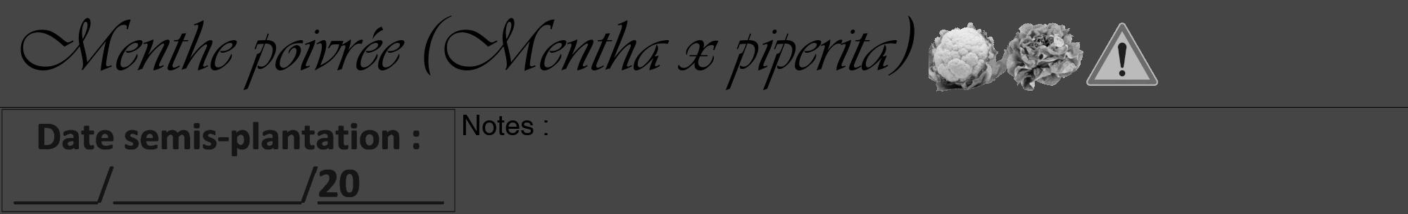 Étiquette de : Mentha x piperita - format a - style noire58viv avec comestibilité simplifiée