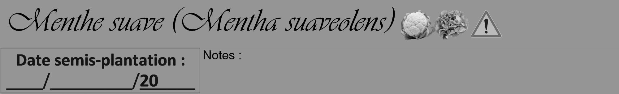 Étiquette de : Mentha suaveolens - format a - style noire16viv avec comestibilité simplifiée