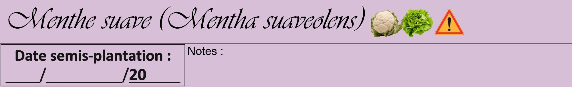 Étiquette de : Mentha suaveolens - format a - style noire54viv avec comestibilité simplifiée
