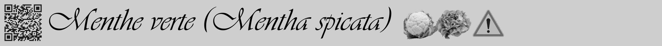 Étiquette de : Mentha spicata - format a - style noire17viv avec qrcode et comestibilité simplifiée