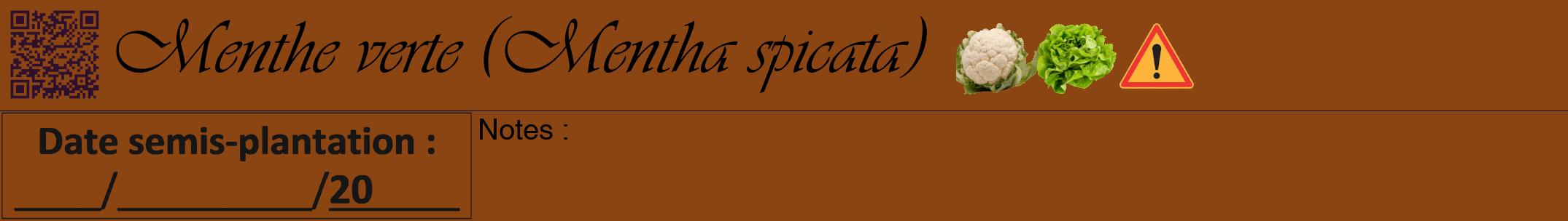 Étiquette de : Mentha spicata - format a - style noire30viv avec qrcode et comestibilité simplifiée