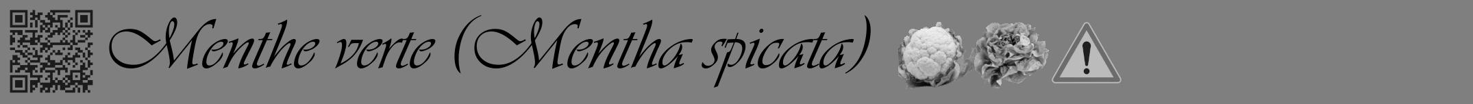 Étiquette de : Mentha spicata - format a - style noire31viv avec qrcode et comestibilité simplifiée