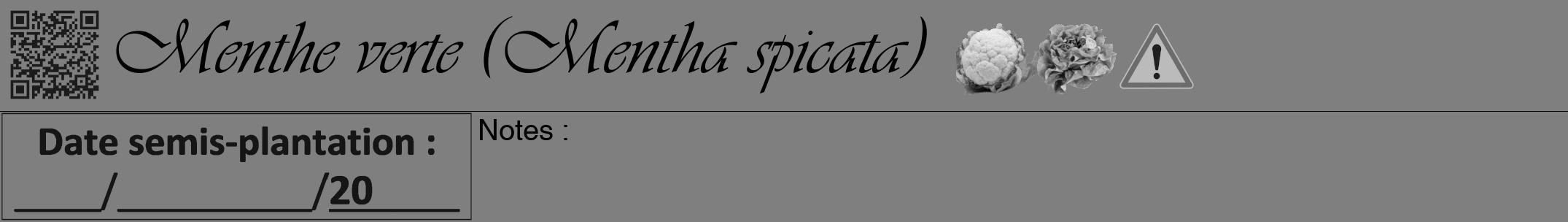 Étiquette de : Mentha spicata - format a - style noire31viv avec qrcode et comestibilité simplifiée