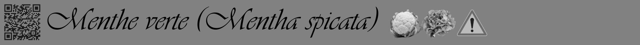 Étiquette de : Mentha spicata - format a - style noire50viv avec qrcode et comestibilité simplifiée
