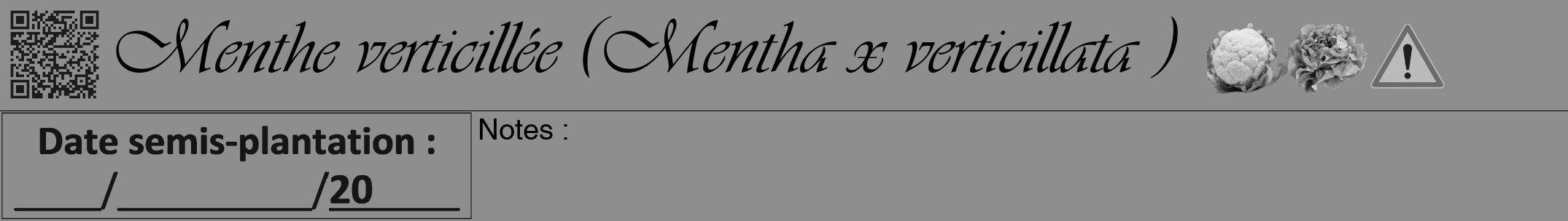 Étiquette de : Mentha x verticillata  - format a - style noire25viv avec qrcode et comestibilité simplifiée