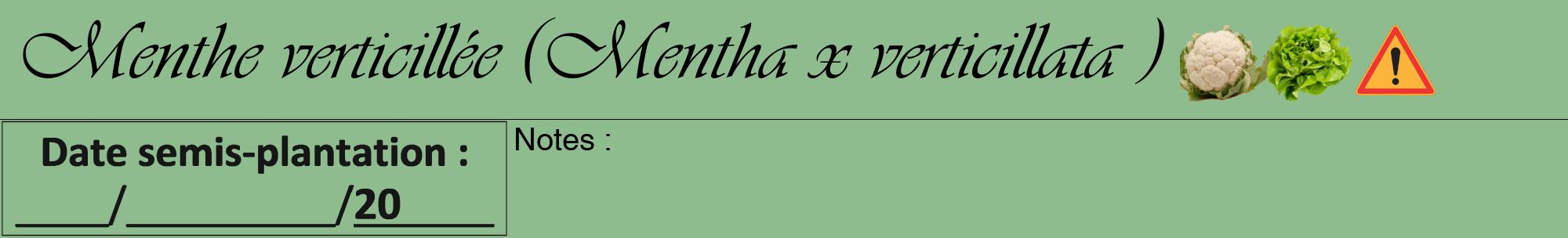 Étiquette de : Mentha x verticillata  - format a - style noire13viv avec comestibilité simplifiée