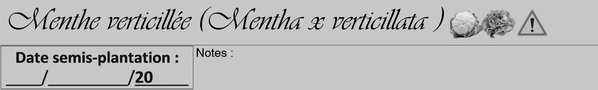 Étiquette de : Mentha x verticillata  - format a - style noire15viv avec comestibilité simplifiée