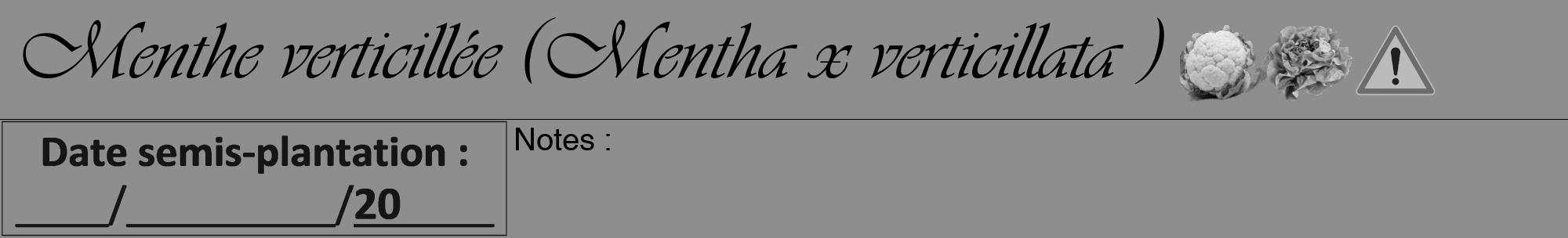 Étiquette de : Mentha x verticillata  - format a - style noire25viv avec comestibilité simplifiée