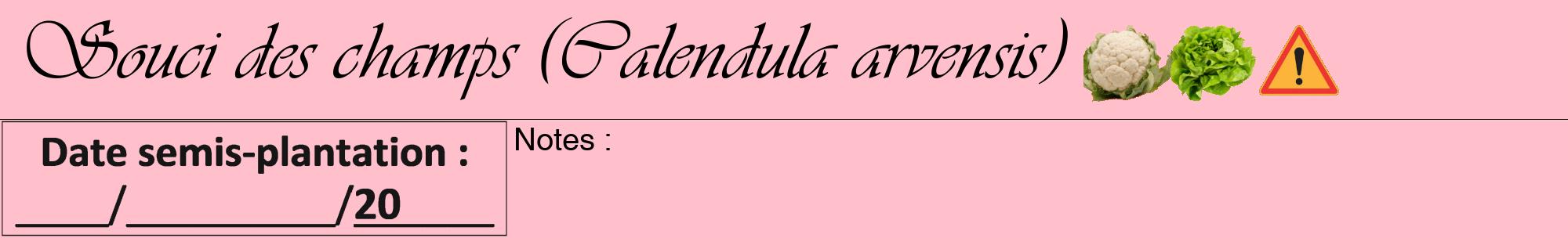 Étiquette de : Calendula arvensis - format a - style noire40viv avec comestibilité simplifiée