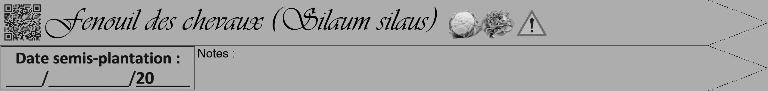 Étiquette de : Silaum silaus - format b - style noire22viv avec qrcode et comestibilité simplifiée