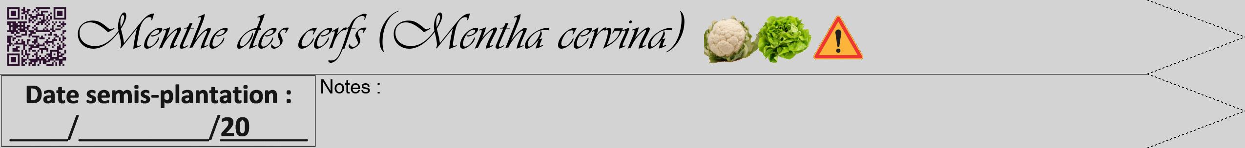 Étiquette de : Mentha cervina - format b - style noire56viv avec qrcode et comestibilité simplifiée