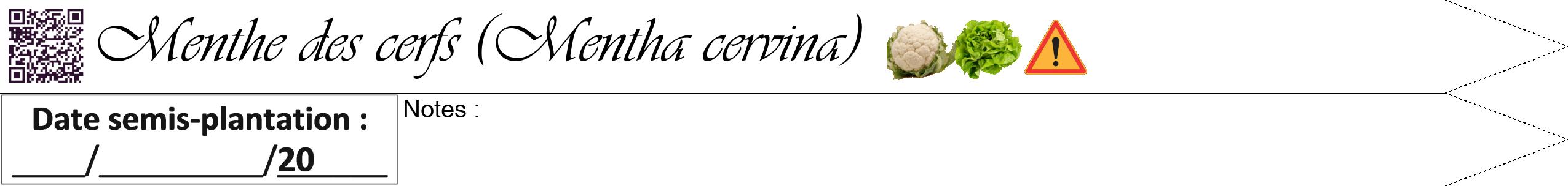 Étiquette de : Mentha cervina - format b - style noire60viv avec qrcode et comestibilité simplifiée