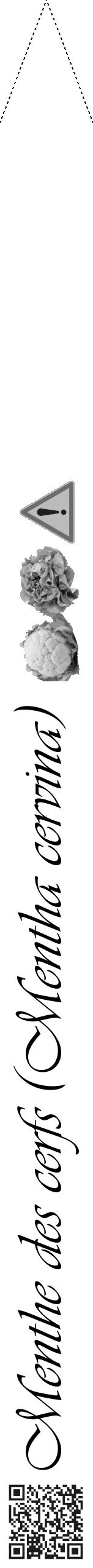 Étiquette de : Mentha cervina - format b - style noire60viv avec qrcode et comestibilité simplifiée - position verticale