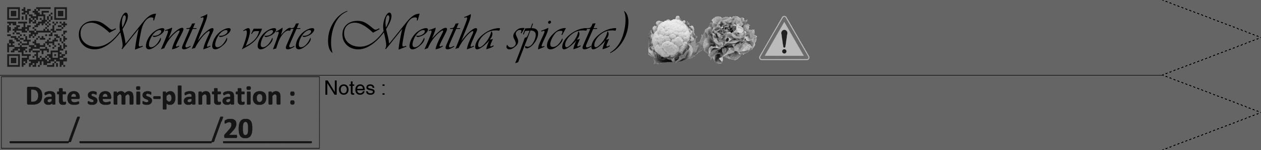 Étiquette de : Mentha spicata - format b - style noire32viv avec qrcode et comestibilité simplifiée
