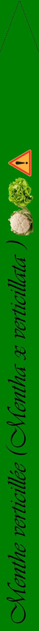 Étiquette de : Mentha x verticillata  - format b - style noire9viv avec comestibilité simplifiée