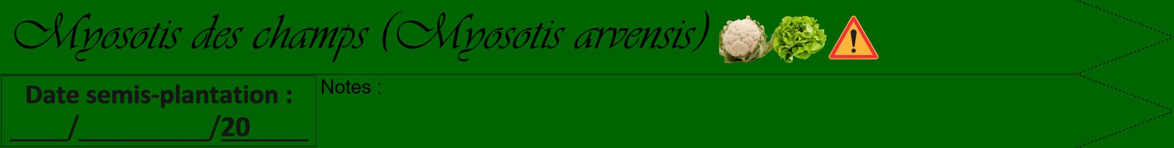 Étiquette de : Myosotis arvensis - format b - style noire8viv avec comestibilité simplifiée