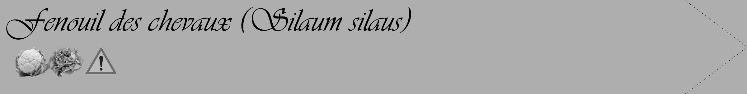 Étiquette de : Silaum silaus - format c - style noire53_simple_simpleviv avec comestibilité simplifiée