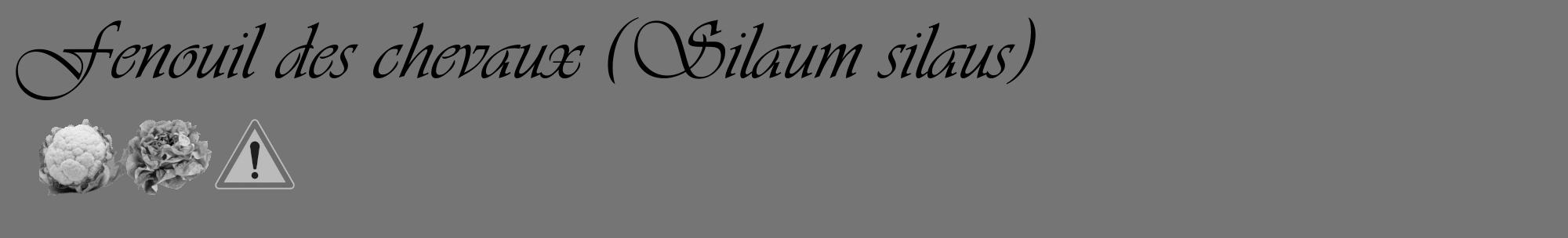 Étiquette de : Silaum silaus - format c - style noire5_basique_basiqueviv avec comestibilité simplifiée