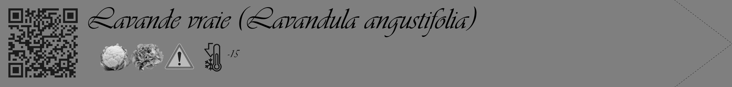 Étiquette de : Lavandula angustifolia - format c - style noire31simple_basique_basiqueviv avec qrcode et comestibilité simplifiée