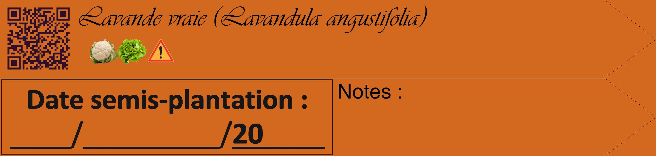 Étiquette de : Lavandula angustifolia - format c - style noire31simple_basique_basiqueviv avec qrcode et comestibilité simplifiée