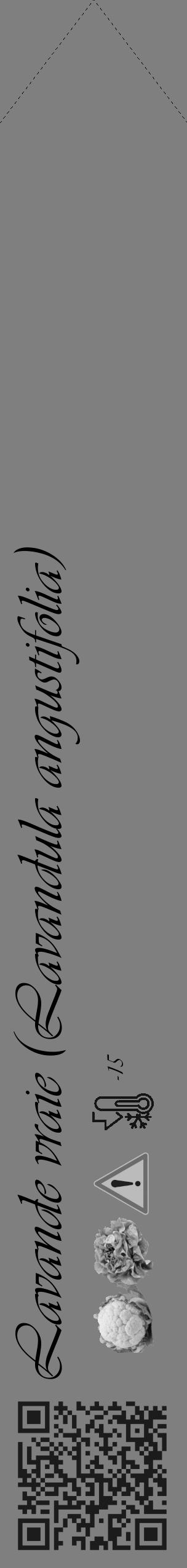 Étiquette de : Lavandula angustifolia - format c - style noire31simple_basique_basiqueviv avec qrcode et comestibilité simplifiée - position verticale