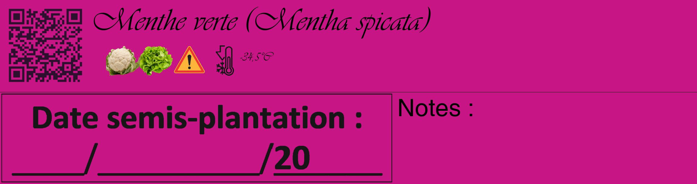 Étiquette de : Mentha spicata - format c - style noire45_basique_basiqueviv avec qrcode et comestibilité simplifiée