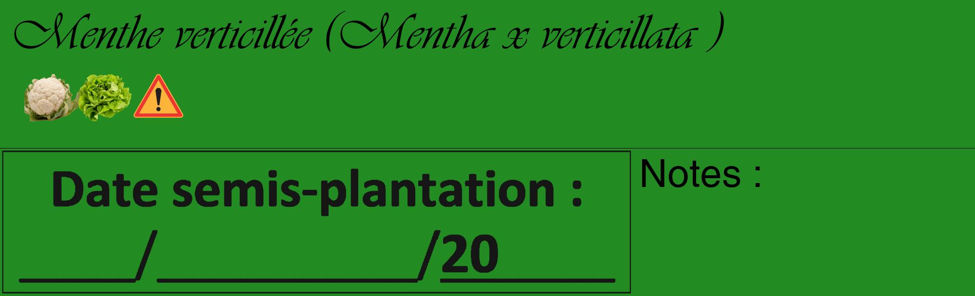 Étiquette de : Mentha x verticillata  - format c - style noire10basique_basique_basiqueviv avec comestibilité simplifiée