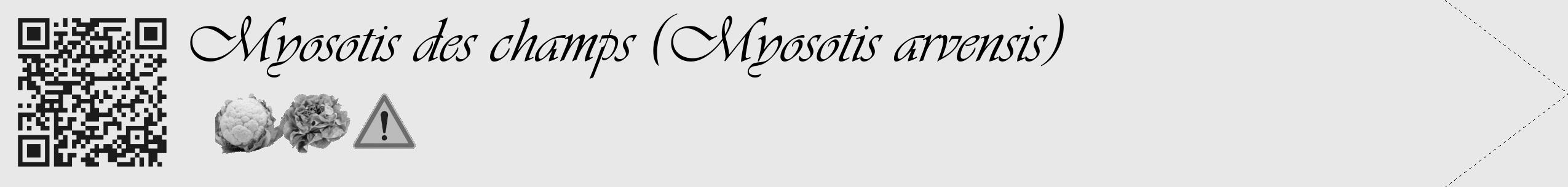 Étiquette de : Myosotis arvensis - format c - style noire55_simple_simpleviv avec qrcode et comestibilité simplifiée