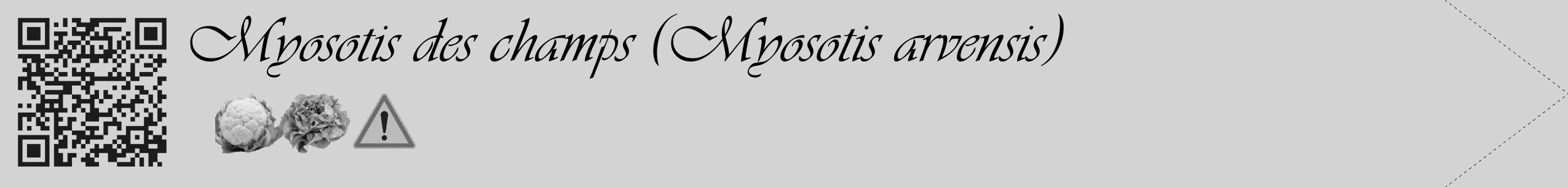Étiquette de : Myosotis arvensis - format c - style noire56_simple_simpleviv avec qrcode et comestibilité simplifiée