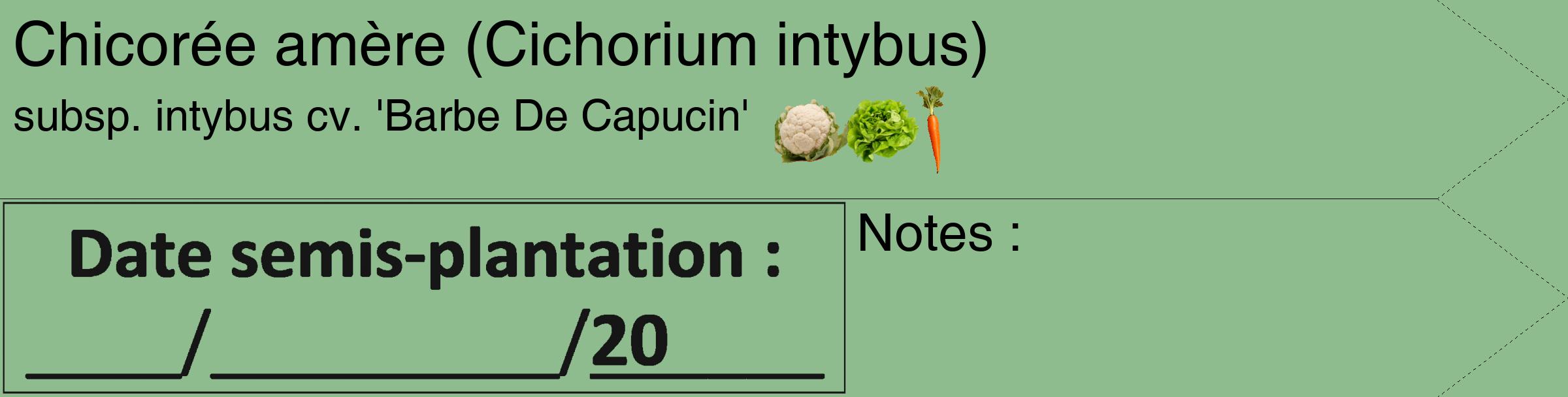 Étiquette de : Cichorium intybus subsp. intybus cv. 'Barbe De Capucin' - format c - style noire13simple_simple_simplehel avec comestibilité simplifiée