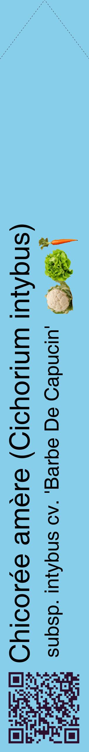 Étiquette de : Cichorium intybus subsp. intybus cv. 'Barbe De Capucin' - format c - style noire1_simplehel avec qrcode et comestibilité simplifiée