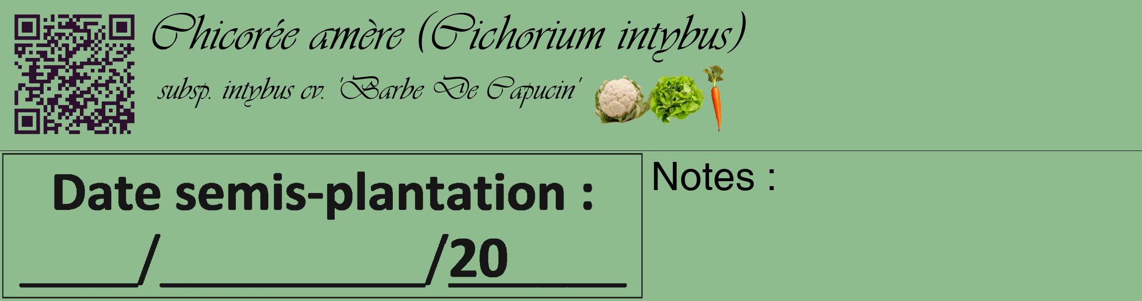 Étiquette de : Cichorium intybus subsp. intybus cv. 'Barbe De Capucin' - format c - style noire13_basique_basiqueviv avec qrcode et comestibilité simplifiée