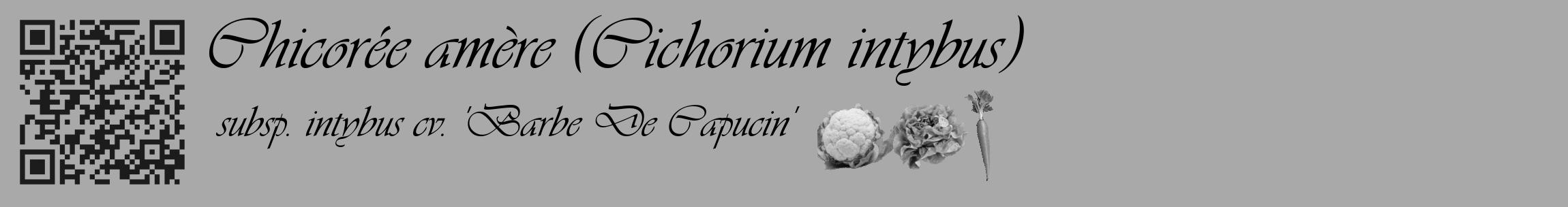 Étiquette de : Cichorium intybus subsp. intybus cv. 'Barbe De Capucin' - format c - style noire13basique_basique_basiqueviv avec qrcode et comestibilité simplifiée