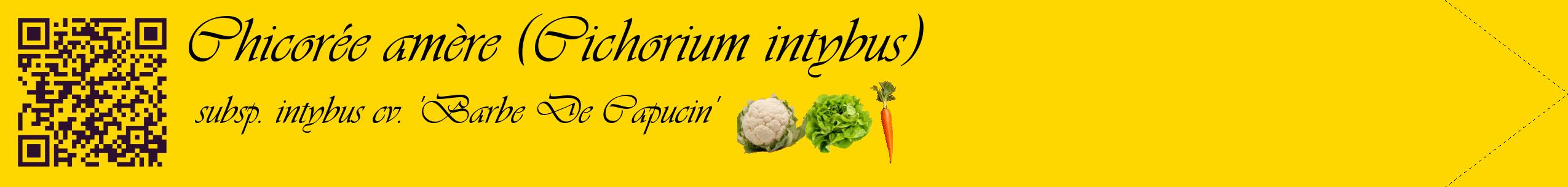 Étiquette de : Cichorium intybus subsp. intybus cv. 'Barbe De Capucin' - format c - style noire21simple_basique_basiqueviv avec qrcode et comestibilité simplifiée