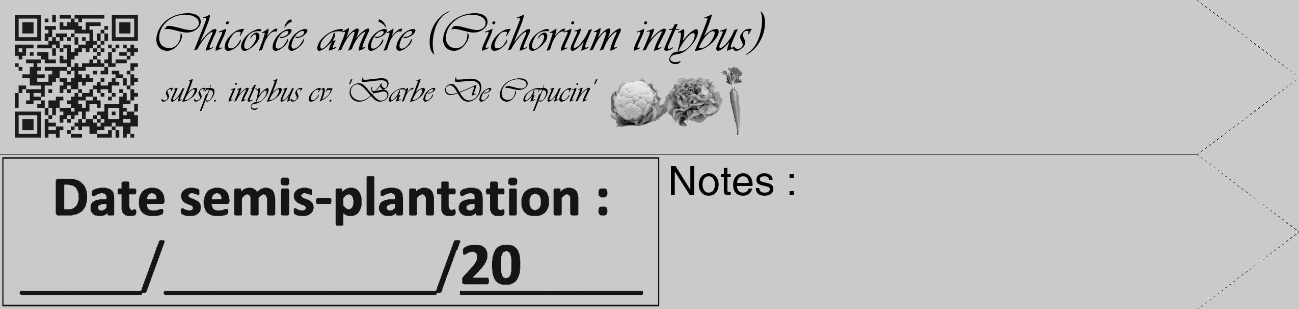 Étiquette de : Cichorium intybus subsp. intybus cv. 'Barbe De Capucin' - format c - style noire21simple_basique_basiqueviv avec qrcode et comestibilité simplifiée