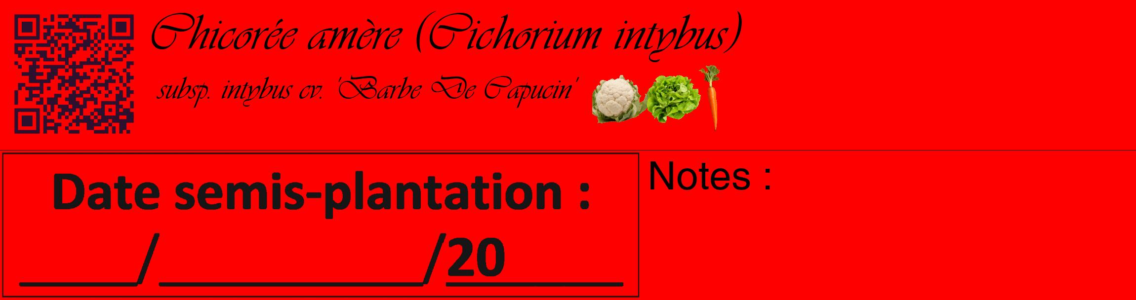 Étiquette de : Cichorium intybus subsp. intybus cv. 'Barbe De Capucin' - format c - style noire27_basique_basiqueviv avec qrcode et comestibilité simplifiée