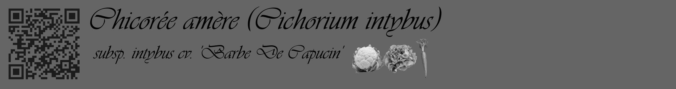 Étiquette de : Cichorium intybus subsp. intybus cv. 'Barbe De Capucin' - format c - style noire32_basique_basiqueviv avec qrcode et comestibilité simplifiée